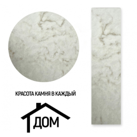 ������ Silvia